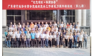 红色领航强根基 党建赋能促发展——我会党支部书记、会长王健参